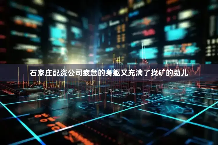 石家庄配资公司疲惫的身躯又充满了找矿的劲儿